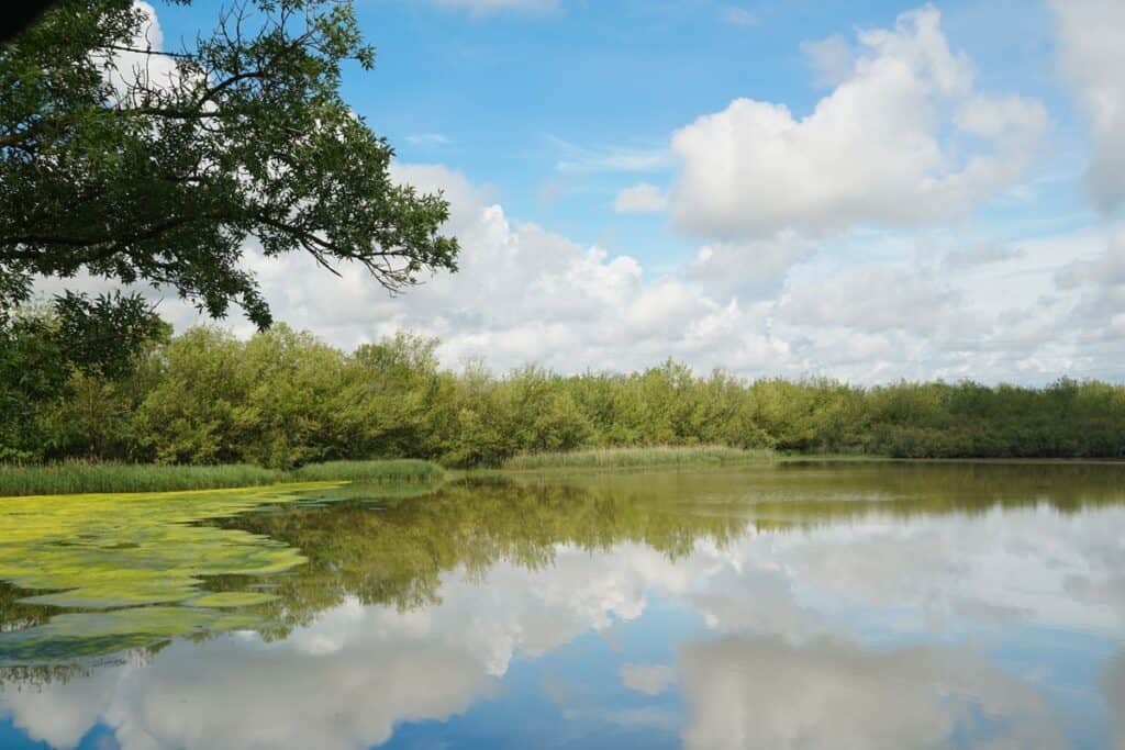 Parc Naturel des Aiguamolls