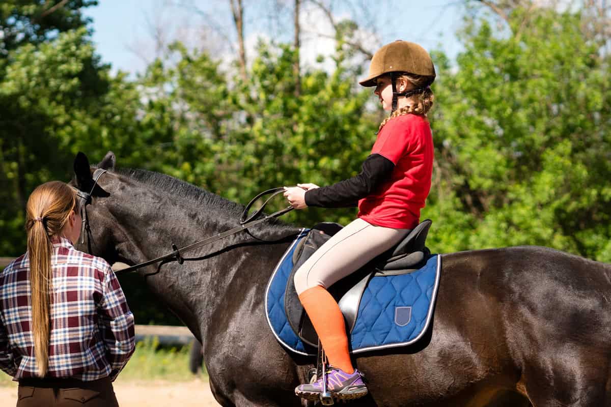 Colonies équestres en Bourgogne : les bienfaits pour les enfants