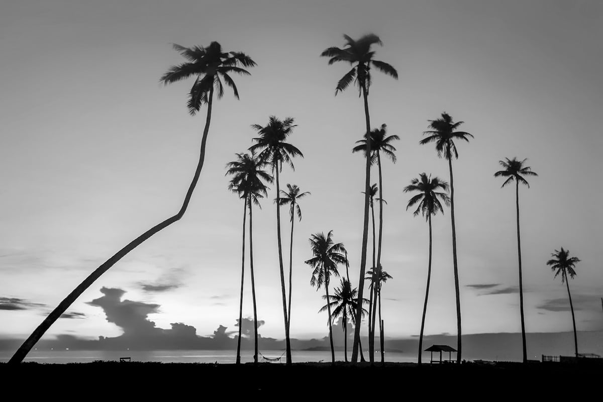 photo de voyage en noir et blanc