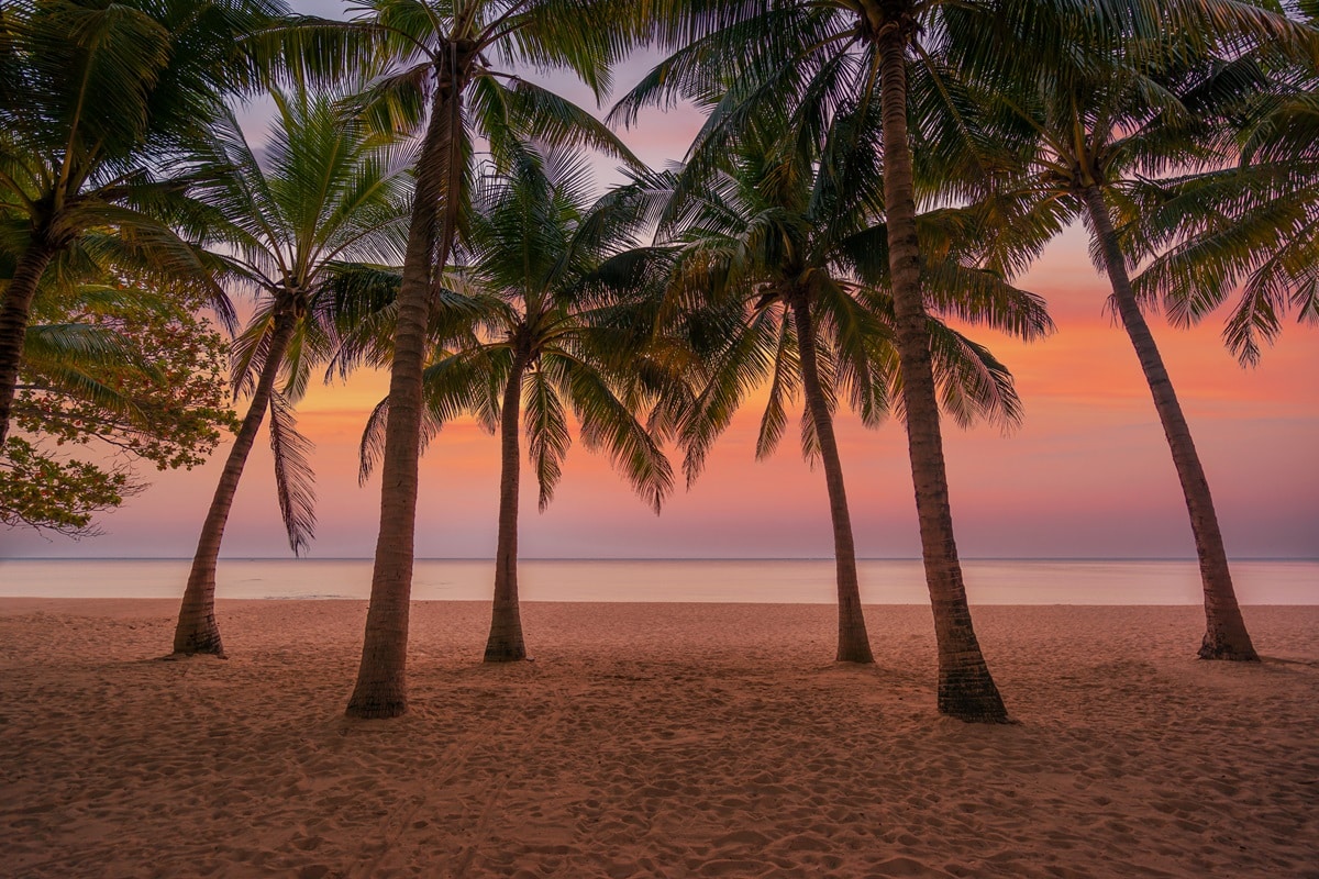 activités incontournables en Guadeloupe